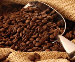 El sector cafetalero de Honduras se encuentra preocupado nuevamente por la caída del precio del café, la falta de cortadores y la baja productividad en las fincas por efectos del cambio climático.