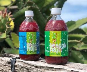 Patica Products: Emprendimiento tico cuya estrella es la pitahaya
