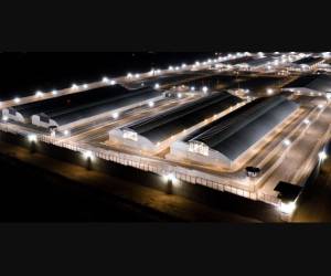 <i>El mejor sistema penitenciario del mundo, publicó Bukele @CECOT_</i>