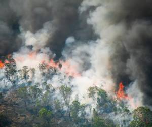 Amazonía brasileña registra récord de casi 3.000 incendios en febrero