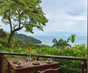 <i>Foto tomada en Tulemar Gardens, Parque Nacional Manuel Antonio, Quepos 60601 Costa Rica. FOTO tripadvisor.es</i>