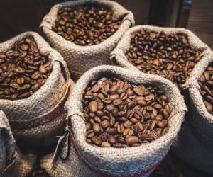 <i>Los ingresos acumulados por las exportaciones del café de El Salvador crecieron un 31,28 % en todo el ciclo 2024-2025 con US$175,04 millones. Foto de iStock</i>