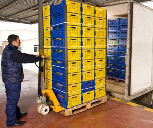 Exportadores salvadoreños esperan se logre acuerdo con EEUU para evitar arancel