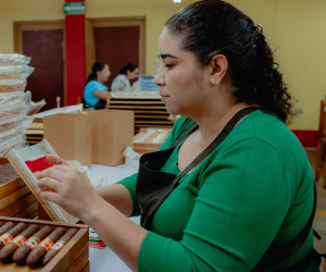 <i>Según la Cámara Nicaragüense de Tabacaleros, seis de los diez mejores puros en el mundo son fabricados en Nicaragua. Foto de cortesía</i>