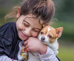 El 81 % de quienes tienen perro ha comprado algún producto para su mascota en los últimos 30 días. Foto de iStock