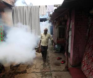 <i>En la imagen de archivo, un operario del servicio municipal de Nueva Delhi, la India, fumiga un área para prevenir los casos de dengue. EFE/EPA/RAJAT GUPTA</i>