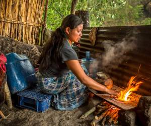 <i>El departamento de Alta Verapaz, ubicado en el norte del país, se mantiene como la región más crítica en fase de crisis al afectar a más del 28 % de su población local. Foto de iStock</i>