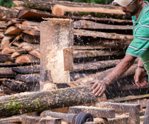<i>Costa Rica concluyó la fase inicial de un proceso que desembocará en el primer Código Nacional de Construcción Civil con Madera. Foto de cortesía</i>