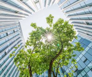 Más de 20.000 entidades en 167 países que pertenecen a la iniciativa empresarial líder en sostenibilidad actualmente. Foto de iStock