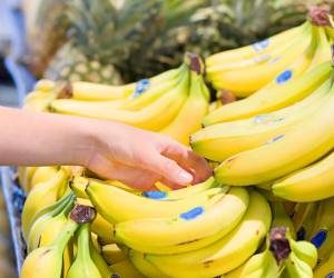 <i>Costa Rica y Panamá mantienen la disputa por las restricciones impuestas por las autoridades panameñas en 2019 y 2020 a la importación de productos agropecuarios costarricenses como banano, plátano, carne de res, de pollo, de cerdo, fresas, lácteos y piña debido pruebas científicas insuficientes. Foto de iStock</i>