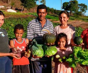 FAO propone vincular agricultura familiar ante alza mundial de precio de alimentos