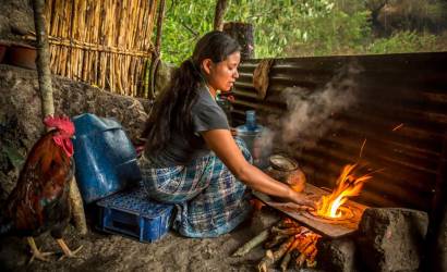 <i>El departamento de Alta Verapaz, ubicado en el norte del país, se mantiene como la región más crítica en fase de crisis al afectar a más del 28 % de su población local. Foto de iStock</i>