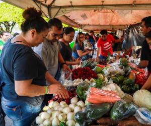 <i>Los principales impulsos de la inflación en la región provinieron de los sectores de alimentos, transporte, restaurantes, hoteles y salud. Foto de archivo</i>