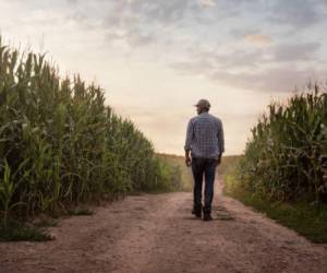 Urgen mayor trabajo colaborativo para potenciar acciones climáticas en agricultura