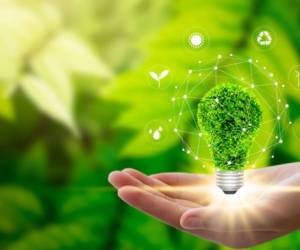 Hand holding light bulb against nature on green leaf with icons energy sources for renewable, sustainable development. Technology ,Environment ,Ecology concept.