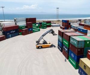 El sector agrícola también registró una variación positiva del 1 %, explicado por las exportaciones de café, frutas congeladas y yuca. Foto de archivo