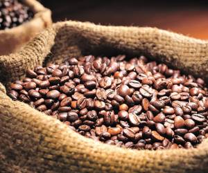 <i>El café se mantuvo como uno de los principales motores del comercio exterior hondureño. Foto de iStock</i>