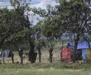 Consejo de la ONU preocupado por invasiones de tierras en Honduras