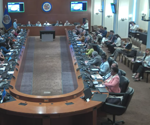 <i>La Asamblea General de la OEA descalificó las elecciones presidenciales del 7 de noviembre de 2021 que se celebraron con los principales candidatos opositores en prisión y resolvió que no fueron libres, justas ni transparentes. Foto de cortesía</i>