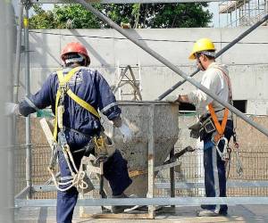 <i>El programa contempla oportunidades vinculadas con sectores como agricultura, construcción, hotelería, restaurantes, servicios, mantenimiento y otras actividades, dependiendo de las solicitudes que presenten las compañías extranjeras. Foto de cortesía</i>