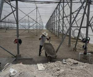 A man works on the construction of the Orquidea model city, a Zone for Employment and Economic Development (ZEDE) -new type of administrative division-, where US company Agroalpha will produce chilies and tomatoes, in Duyure municipality, Choluteca department, Honduras, near the border with Nicaragua, on July 20, 2021. - The ZEDES, launched by Honduran President Juan Orlando Hernandez, are conceived as sovereign cities with their own laws and even police, states inside another state, and are rejected by most of the population. (Photo by Orlando SIERRA / AFP)