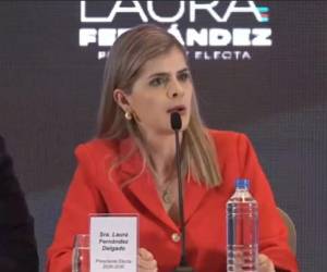 <i>Fernández parece dispuesta a desafiar: en lugar de un ajuste gradual y distribuido en el tiempo, propone un acto de conversión patrimonial. </i>