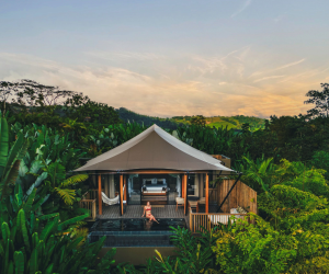 El hotel Nayara Resorts colabora con la reforestación del Parque Nacional Arenal y brindan refugio a perezosos y monos aulladores. Foto de cortesía