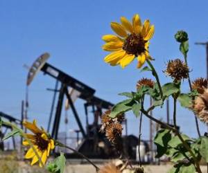 Las flores silvestres florecen cerca de las bombas de aceite a lo largo de una sección de la Carretera 33 conocida como la Carretera del Petróleo al norte de McKittrick en el condado de Kern, California, el 28 de septiembre de 2022. FOTO FREDERIC J. BROWN / AFP