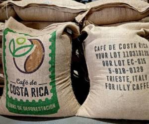 Cómo logró Costa Rica exportar su primer lote de café libre de deforestación