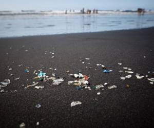 <i>Microplásticos y restos mesoplásticos aparecen en la playa de Almaciga, en la costa norte de la isla canaria de Tenerife. Foto archivo del 14 de julio de 2018, tomada durante una operación de limpieza organizada por la ONG Canarias Libres de Plásticos. FOTO DESIRÉ MARTIN / AFP </i>