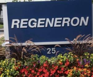 TARRYTOWN, NEW YORK, UNITED STATES - 2020/10/02: View of Corporate and Research and Development Headquarters of Regeneron Pharmaceuticals, Inc. on Old Saw Mill River Road. As President Donald Trump contracted COVID-19 he has been administered a dose of experimental Regeneron treatment, according to a memorandum from the President's physician. According to company press release antibody cocktail REGN-COV2 showing it reduced viral load and the time to alleviate symptoms in non-hospitalized patients with COVID-19. REGN-COV2 is a combination of two monoclonal antibodies (REGN10933 and REGN10987) and was designed specifically to block infectivity of SARS-CoV-2, the virus that causes COVID-19. (Photo by Lev Radin/Pacific Press/LightRocket via Getty Images)