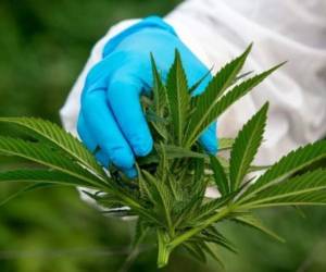 Foto: Estrategia y Negocios