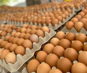 Costa Rica: Sector avícola en riesgo por aumentos en los costos de materias primas