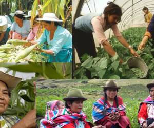 Si las mujeres tuvieran el mismo acceso que los hombres a recursos productivos, ellas podrían aumentar la productividad de sus actividades rurales de manera significativa.