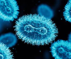 OMS mantiene su nivel de alerta máxima para el mpox