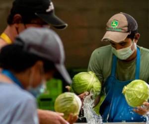 Walmart fortalece y aumenta su impacto positivo en Centroamérica