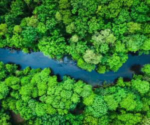 El Salvador explora el potencial de emisiones de Bonos Verdes