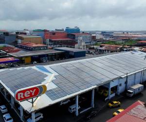 <i>En los últimos años, Grupo Rey ha demostrado que la energía limpia no es una aspiración futura, sino una realidad que ya impulsa sus operaciones todos los días. Foto de cortesía</i>