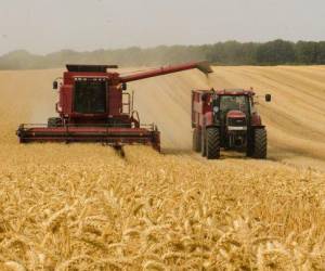 Rusia suspende acuerdo de exportación de cereales ucranianos tras ataque en Crimea