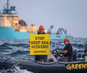Greenpeace pide un ‘tratado sólido‘ para proteger a los océanos