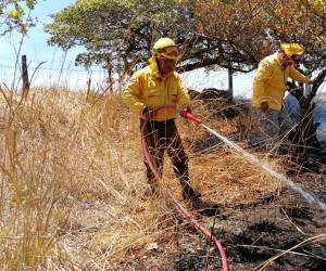 <i>Costa Rica busca prepararse ante las nuevas condiciones climáticas, como el aumento de las temperaturas y una mayor intensidad de sequías y lluvias. Foto de cortesía</i>
