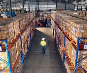 El motor del empleo no está confinado a una rama económica específica, sino que depende de cómo las empresas aprovechan oportunidades, innovan y se integran a cadenas de valor más amplias. Foto de iStock