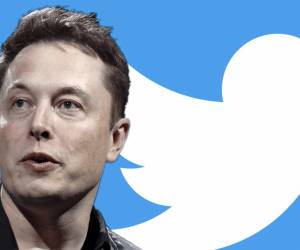 Twitter dice que Musk no tiene pruebas de cuentas falsas