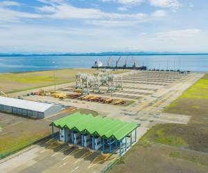 <i>Según la UPDP, cinco conglomerados empresariales analizan trasladar operaciones hacia Puerto de La Unión, que este año ya registró más de 70 escalas de buques automotrices. Foto de cortesía</i>