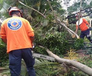 Emiten alerta verde en 13 departamentos de Honduras por paso de onda tropical