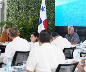 José Raúl Mulino ha explicado que esta visita a Brasil fue acordada con Lula en el marco de la Cumbre del Mercosur celebrada a inicios de julio