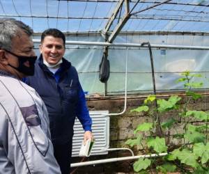 El modelo propuesto está basado en la experiencia de la República de Tayikistán. En la foto Obidjon ahora está ayudando a otros inmigrantes económicos en su comunidad a aprovechar la iniciativa de la FAO e invertir en sus propios agronegocios. ©FAO/Ibrohim Ahmadov