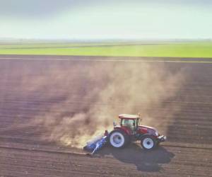 <i>Los productores necesitan grandes créditos por adelantado para comprar insumos como semillas y fertilizantes. FOTO Traive</i>