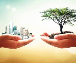 <i>La cumbre 'Global Bioeconomy Summit' es uno de los principales espacios internacionales de diálogo sobre el futuro de la bioeconomía. Foto de iStock</i>