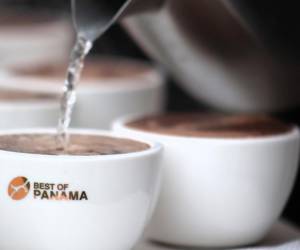 El café Geisha de Panamá supera récords y llega a US$10.005 por kilogramo